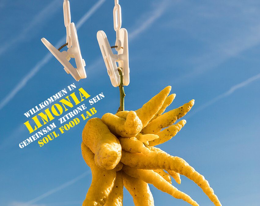 LIMONIA – Soul Food Lab